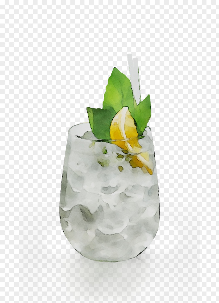 Cocktail Garnish Gin And Tonic Mint Julep PNG