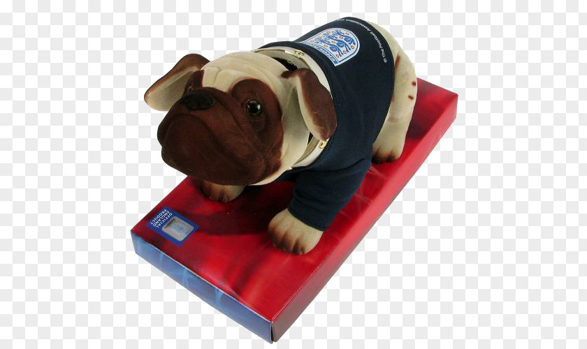 England Bulldog National Football Team Puppy Dog Breed PNG