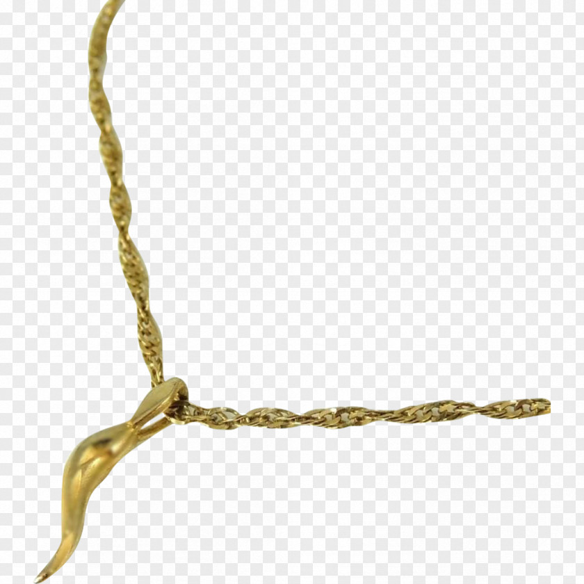 Necklace Cornicello Italian Charm Bracelet Gold PNG