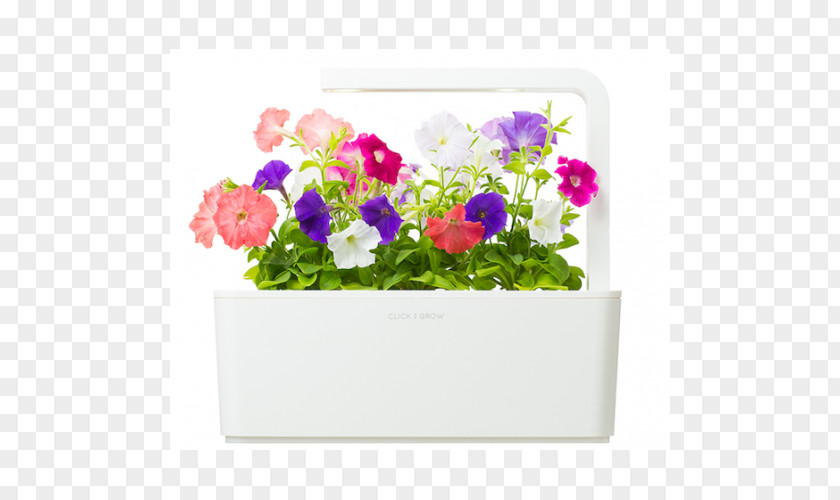 Violet Flowerpot Garden Furniture Crock PNG