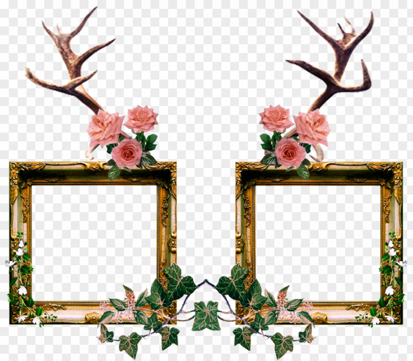 Abscure Poster Picture Frames Clip Art Image Ornament Daum Crystal Roses Small Frame PNG