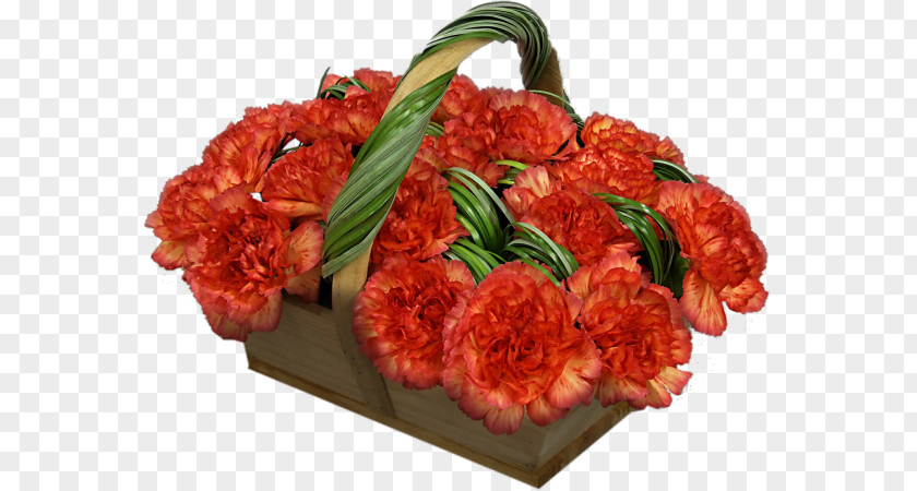 Carnations Red Meat Cut Flowers Web Hosting Service PNG