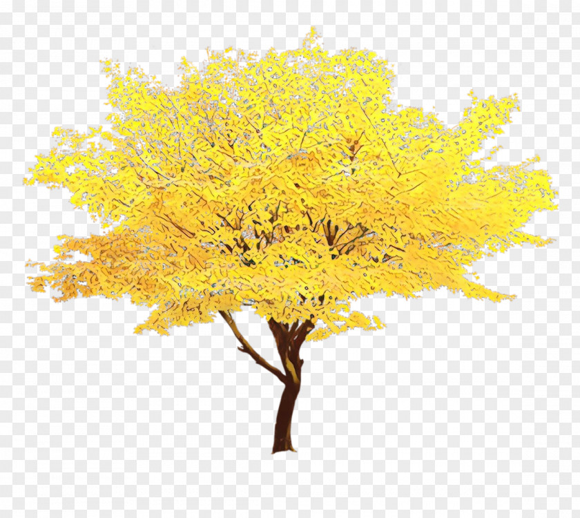 Twig Goldenrod Red Maple Tree PNG