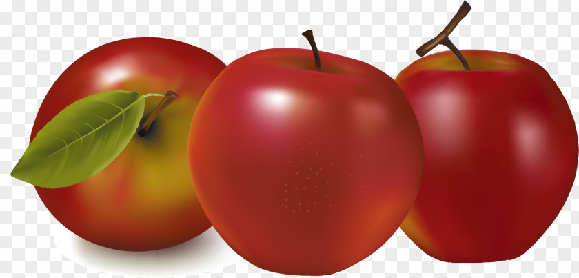 Vector Painted Apple Royalty-free Fruit Illustration PNG