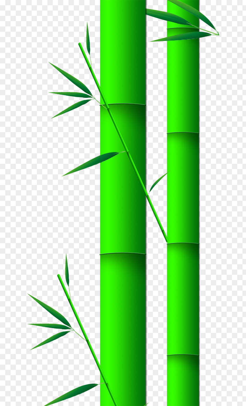 Bamboo Euclidean Vector Leaf PNG