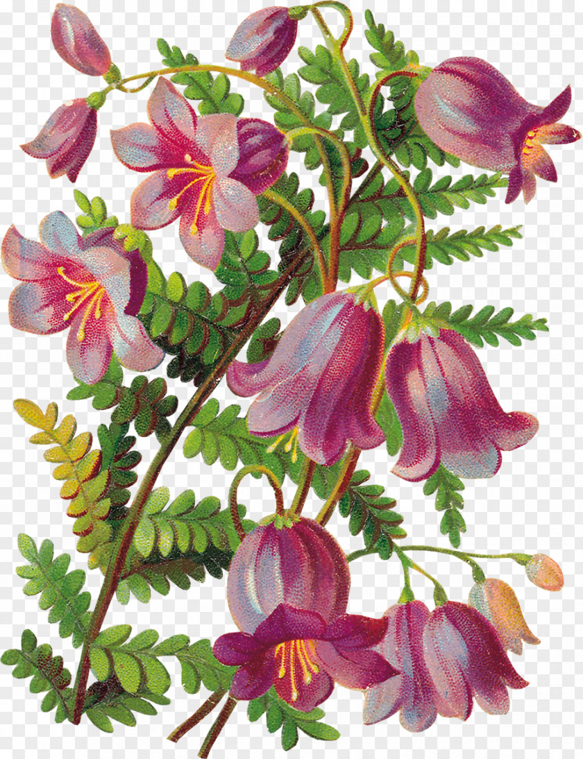 Blumen Decoupage Flower Glockenspiel Clip Art PNG