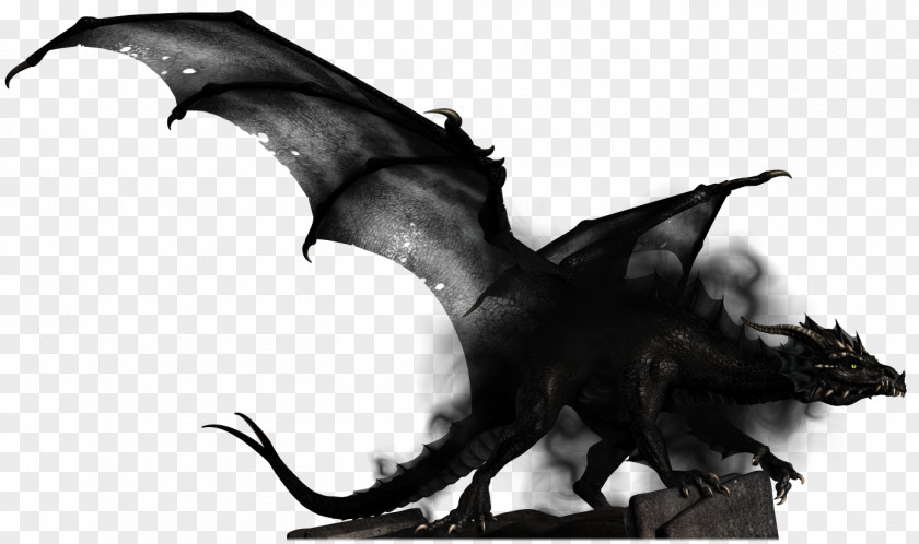 Dragon 11 City Shadow Dungeons & Dragons PNG