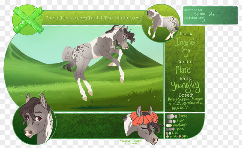 Horse Pony Green Advertising Ecosystem PNG
