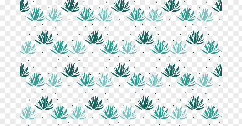 Intensive Aloe Euclidean Vector Agave Angle Illustration PNG