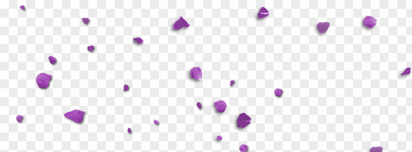 Petals Violet Blue Purple Lilac Magenta PNG