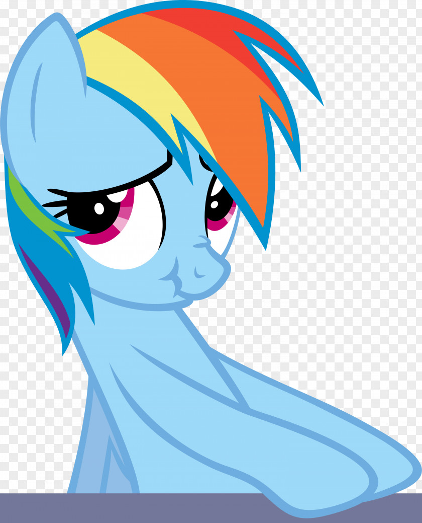 Rainbow Dash Rarity Pinkie Pie Applejack Twilight Sparkle PNG