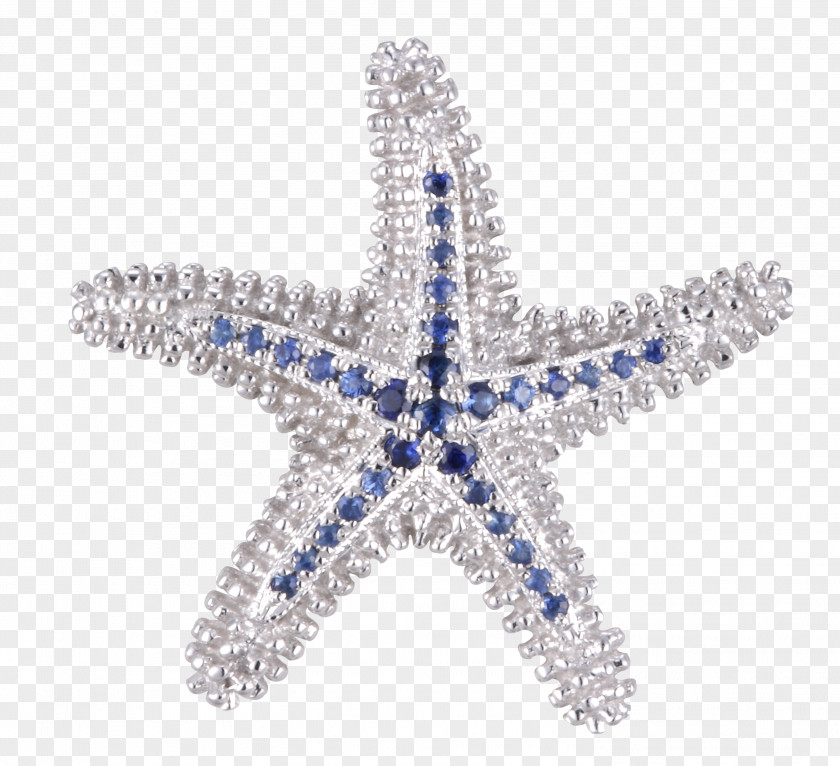 Starfish Jewellery Banco De Imagens Bracelet Beach PNG