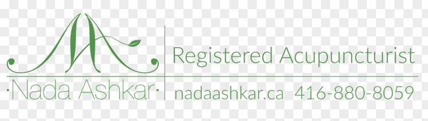 Traditional Medicine Logo Paper Brand Line Font PNG