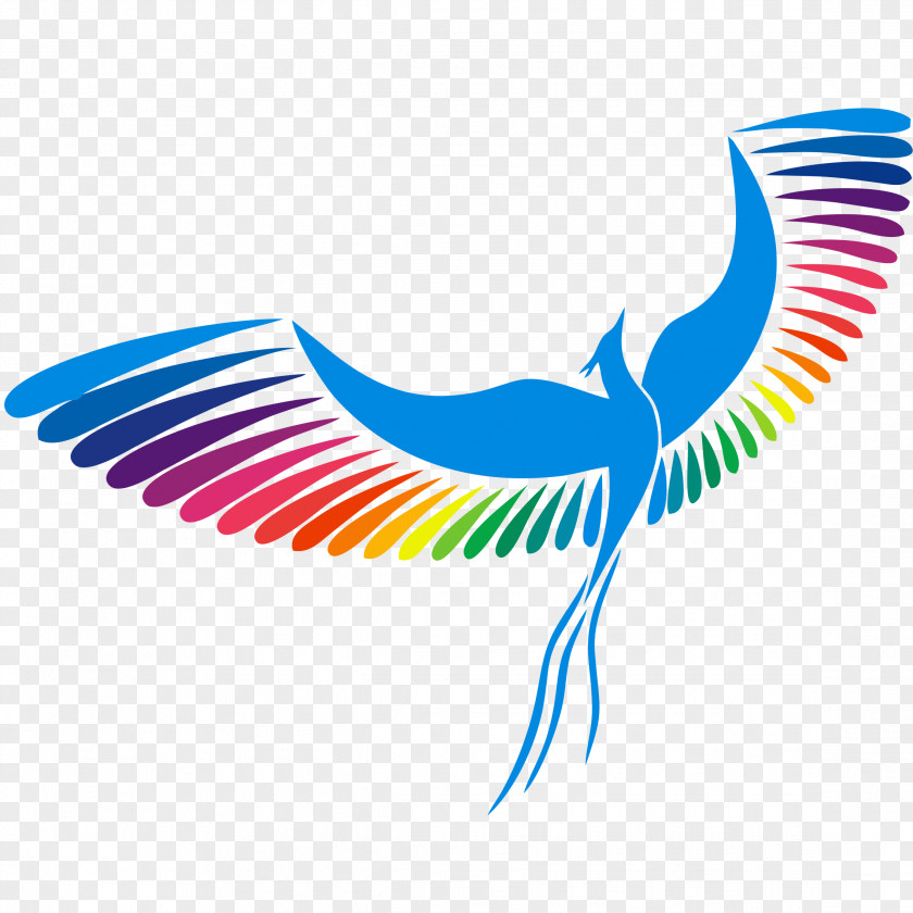 Bird Logo Child Drawing PNG