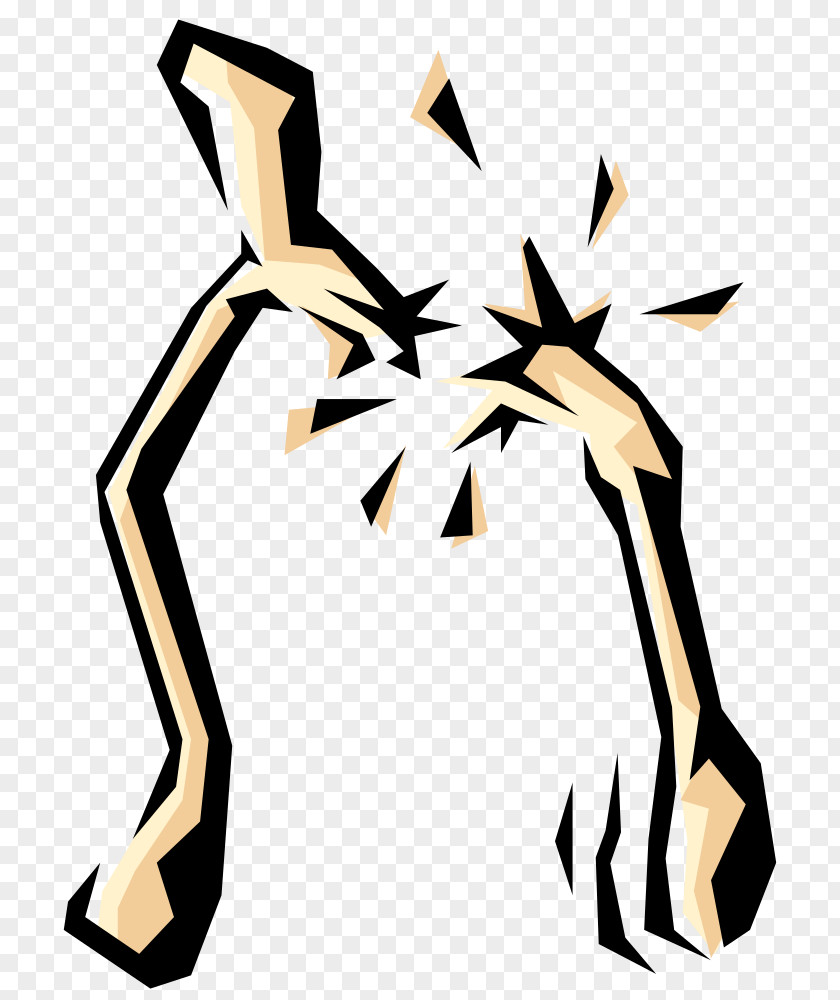 Clip Art PNG