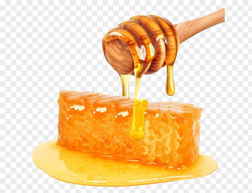 Honey Honeycomb Apple Cider Vinegar Stock Photography PNG