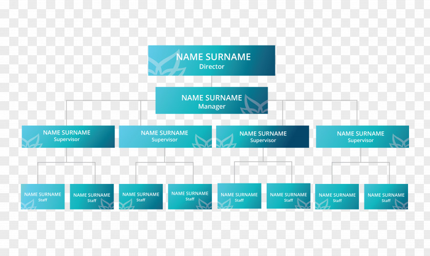 Organization Structure Brand Water Afacere PNG