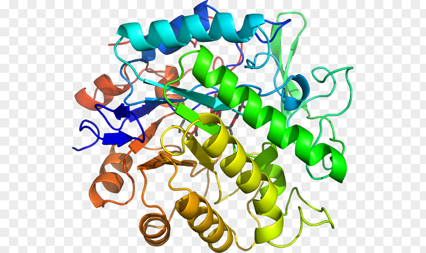 Pentaerythritol Tetranitrate Beta-glucosidase Glucosidases Glycoside Hydrolase Enzyme Commission Number Substrate PNG