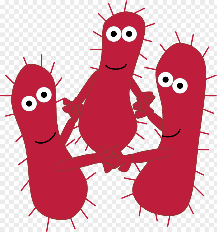 Quorum Sensing Bacteria Biofilm Autoinducer PNG