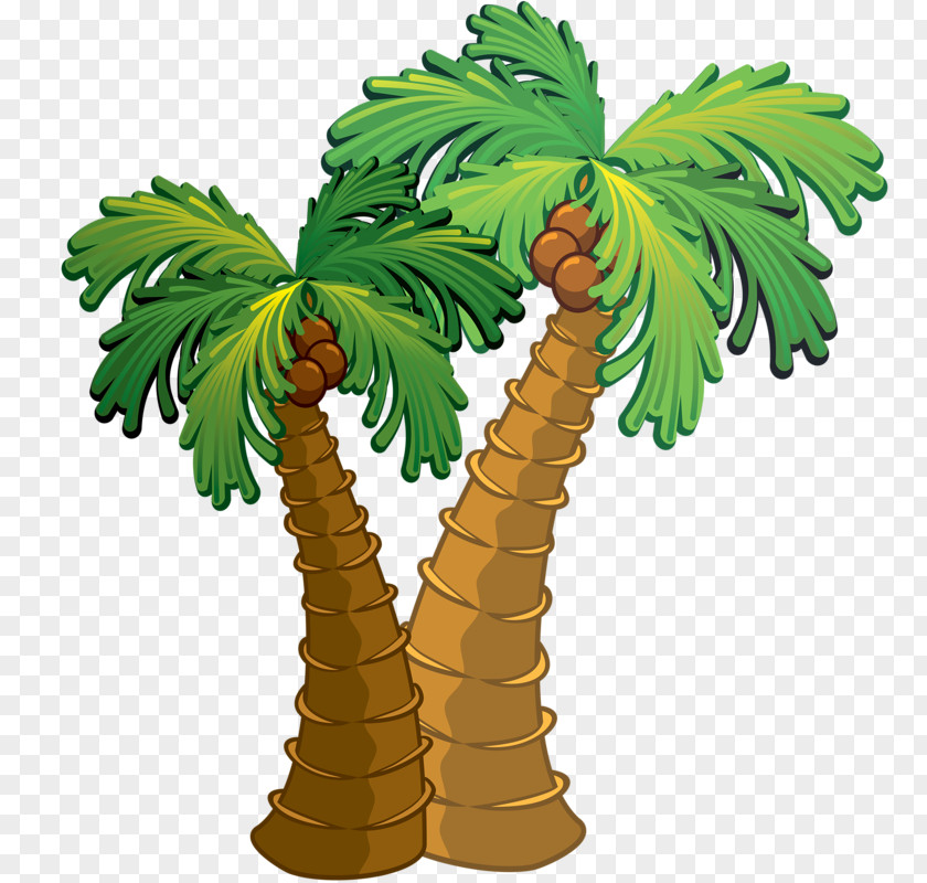 Two Coconut Trees Palm Islands Saona Island Beach PNG