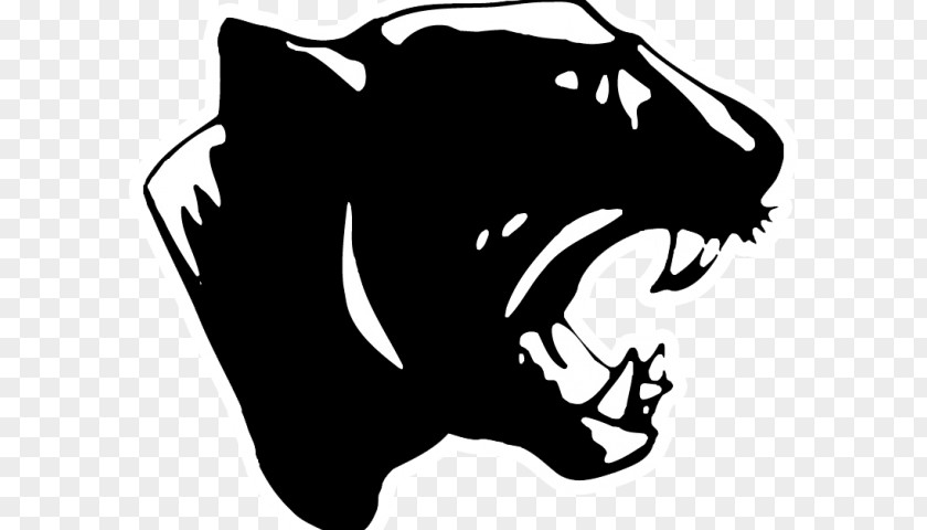 American Football Carolina Panthers Aransas Pass High School Superior Senior Sports PNG