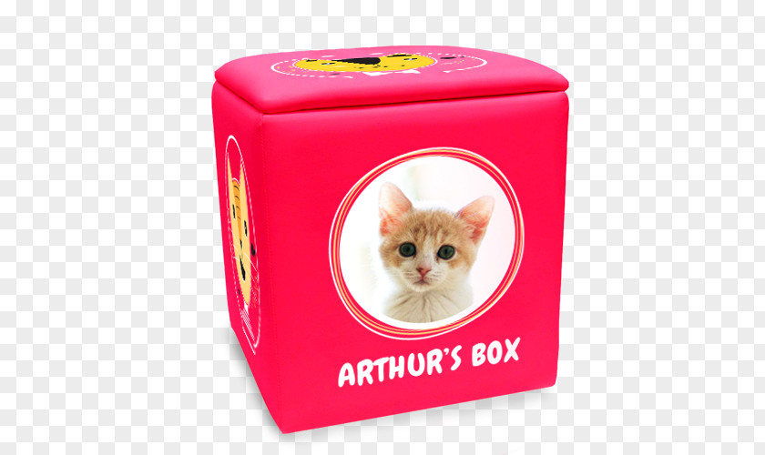 Cat In Box Whiskers Kitten Pet PNG