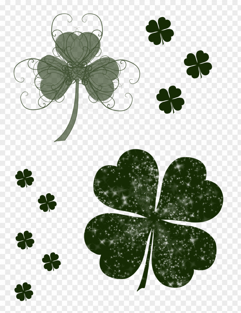 Clover Four-leaf Black And White PNG