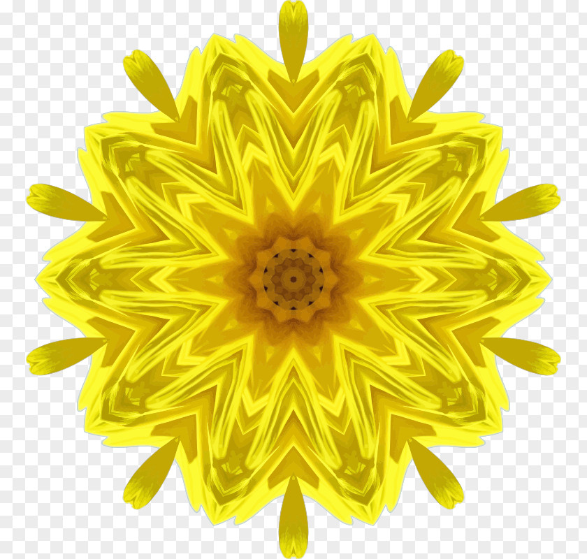 Flower Common Sunflower Daisy Clip Art PNG