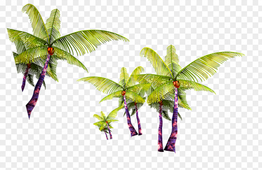 Green Simple Coconut Tree Decoration Pattern Arecaceae PNG