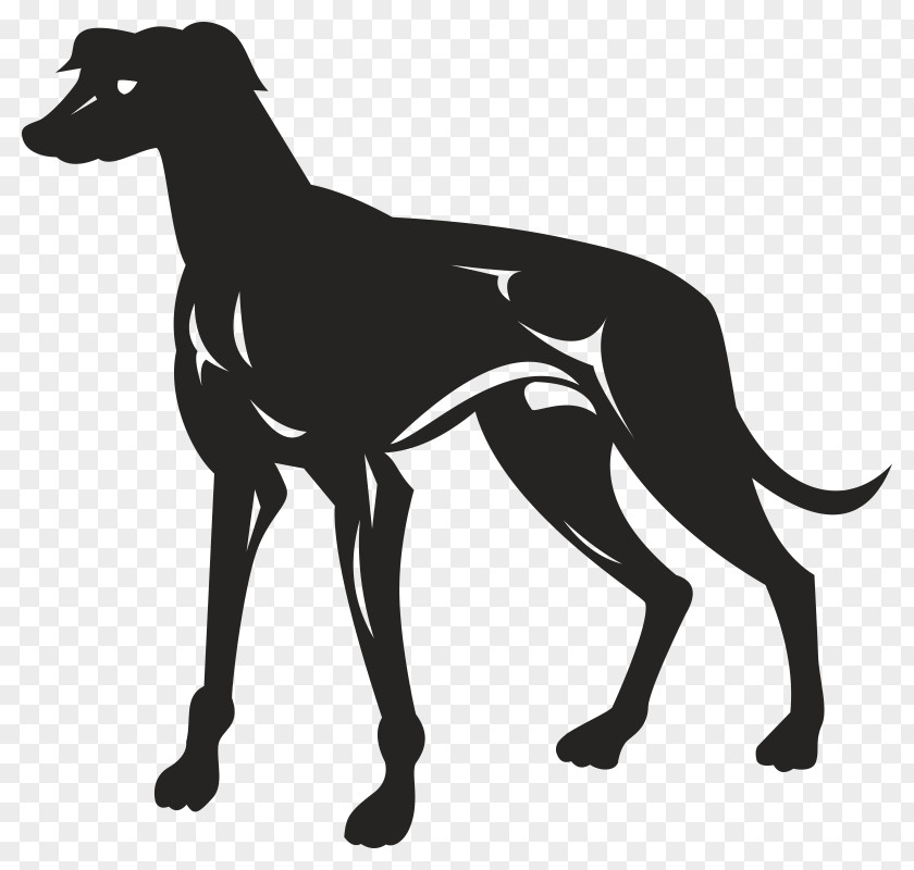 Silhouette Greyhound Lines Royalty-free PNG