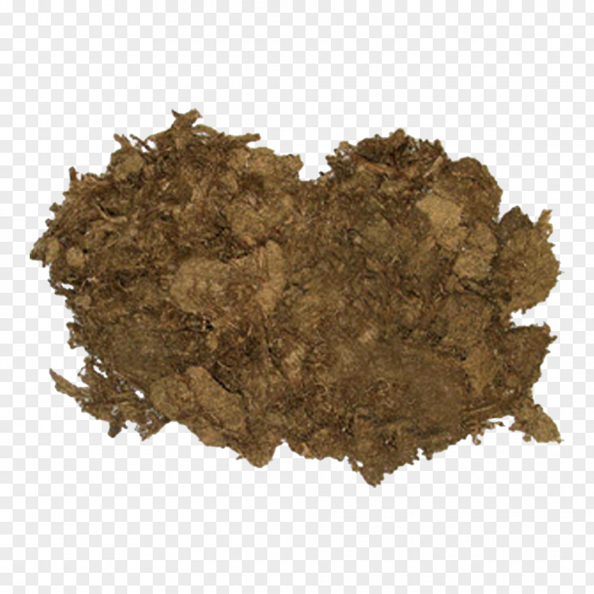 Sphagnum Moss Peat Soil Bog Cultivo PNG