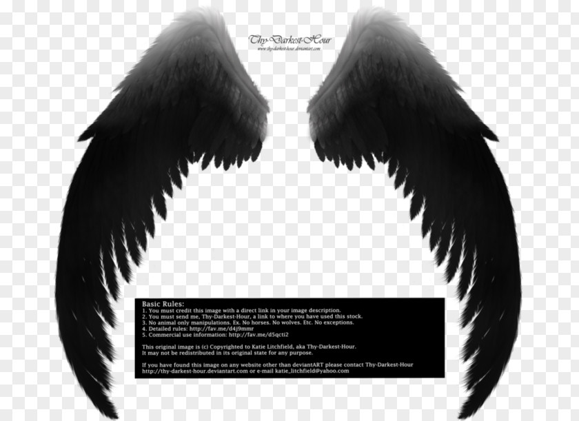 Angel Archangel DeviantArt Archdemon PNG