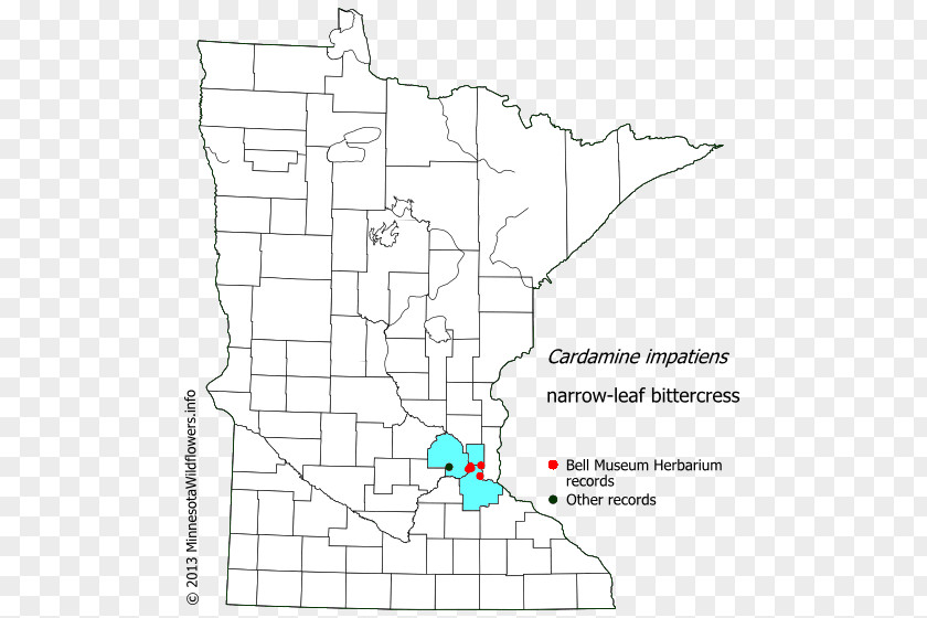 Impatiens Freeborn County, Minnesota Douglas Carver Redwood Houston PNG