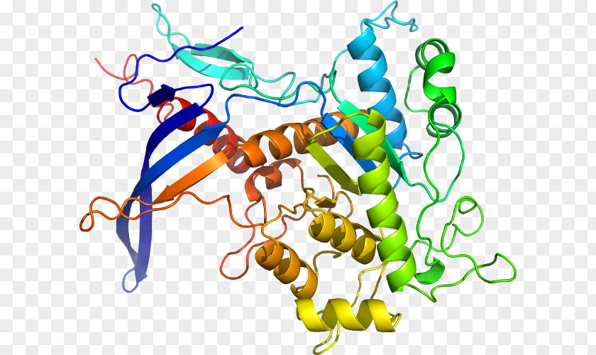 Line Protein Disulfide-isomerase Bond Deusylffid Clip Art PNG