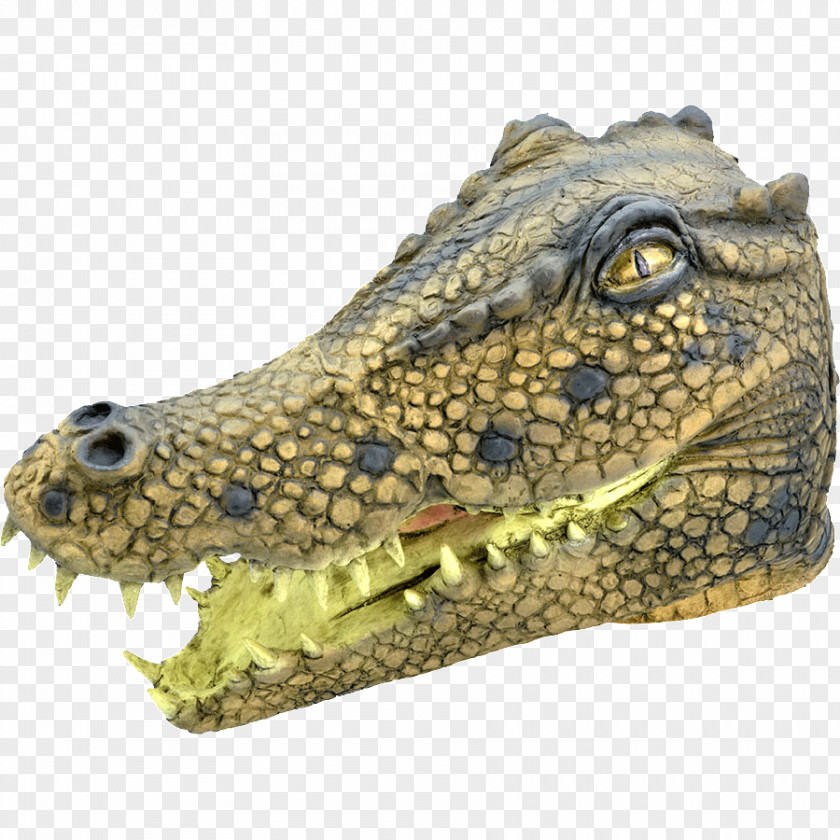Crocodile Costume Party Alligator United Kingdom Mask PNG