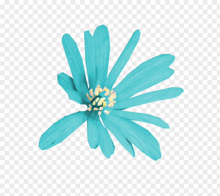Juniper Berry Turquoise PNG