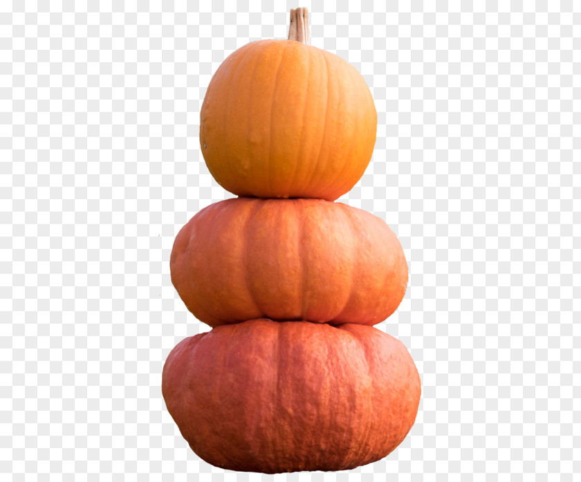 Pumpkin Calabaza Gourd Winter Squash Vegetable PNG