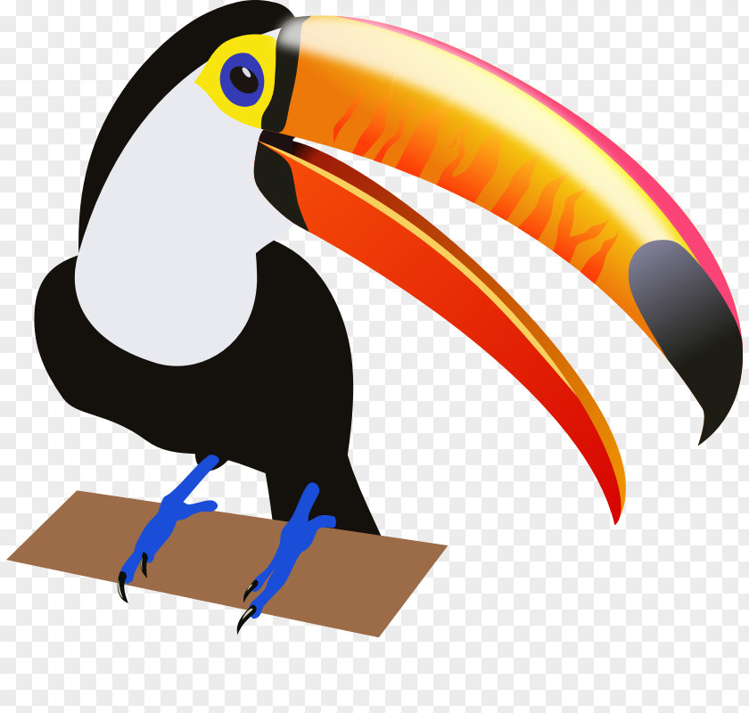 Toucan Cliparts Bird Clip Art PNG