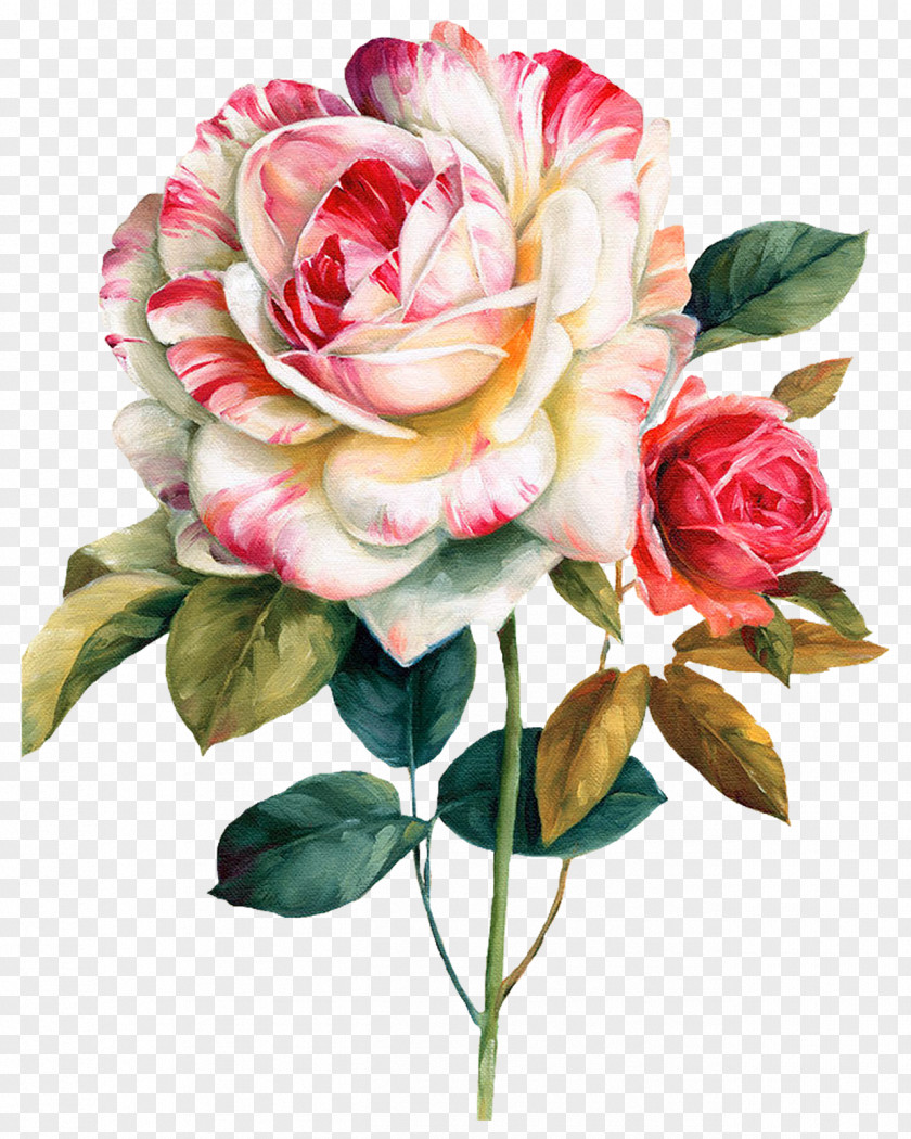 Watercolor Flowers Flower Painting Floral Design Oil PNG