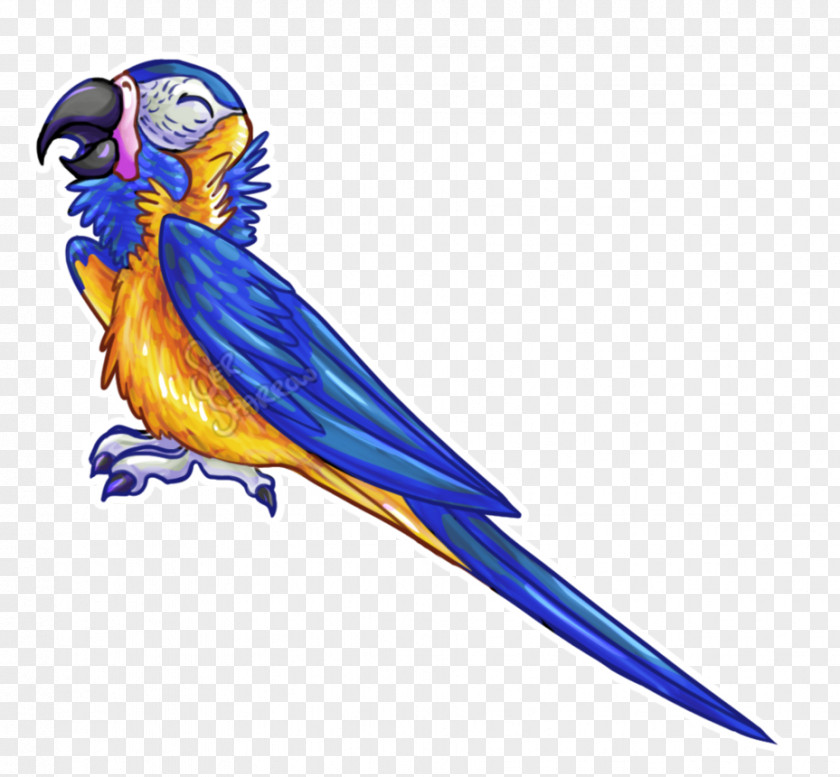 World Sparrow Day Macaw Feather Beak Wing PNG