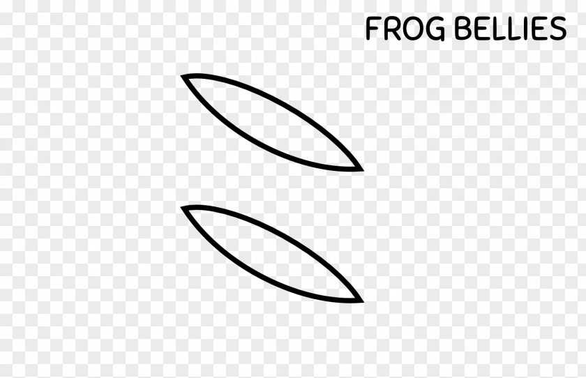 Amphibian Frog Paper PNG
