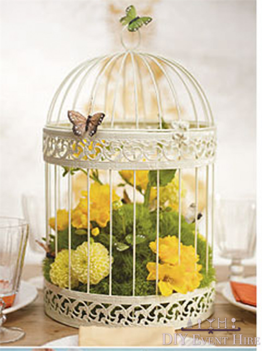 Bird Cage Birdcage Wedding Invitation PNG