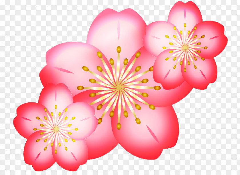 Cherry Blossom Digital Art Clip PNG