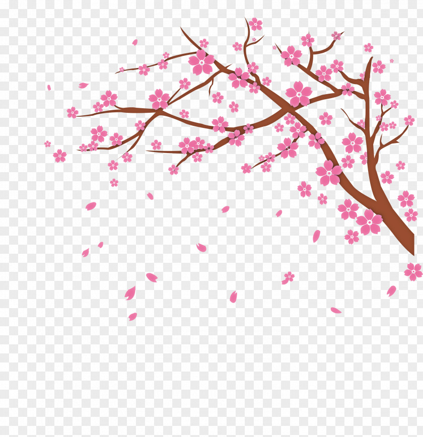 Cherry Blossom PNG