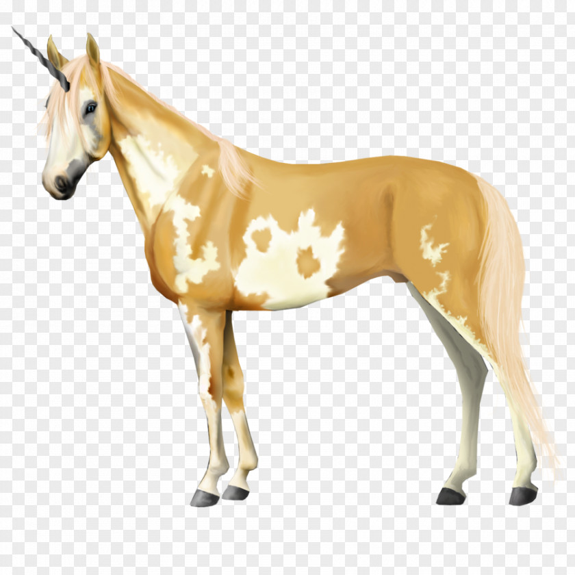 Mustang Mule Foal Stallion Mare PNG