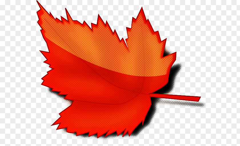Plant Maple Leaf PNG