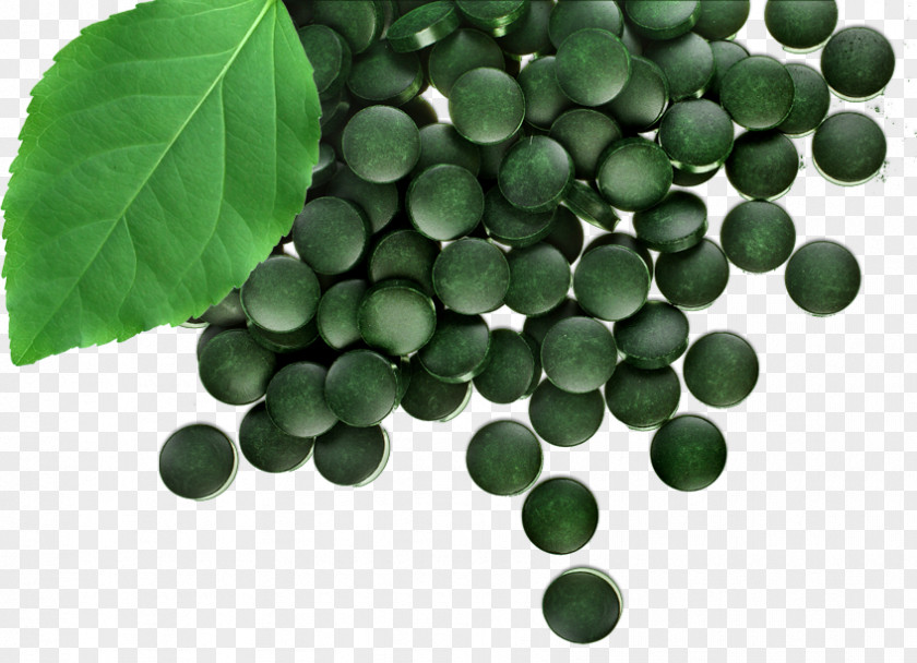Tablet Dietary Supplement Spirulina Arthrospira Platensis Algae PNG