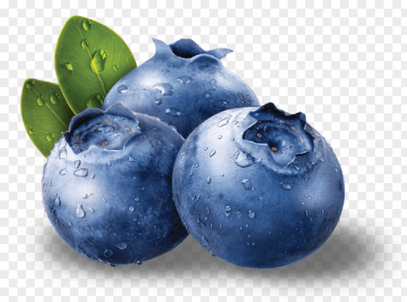 Blueberries Blueberry Muffin PNG