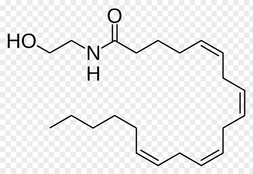 Cannabis Anandamide Tetrahydrocannabinol Endocannabinoid System Cannabinoid Receptor PNG