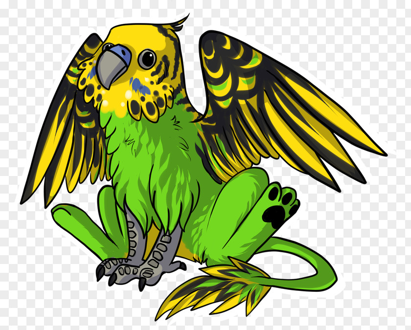 Claw Falconiformes Bird Parrot PNG